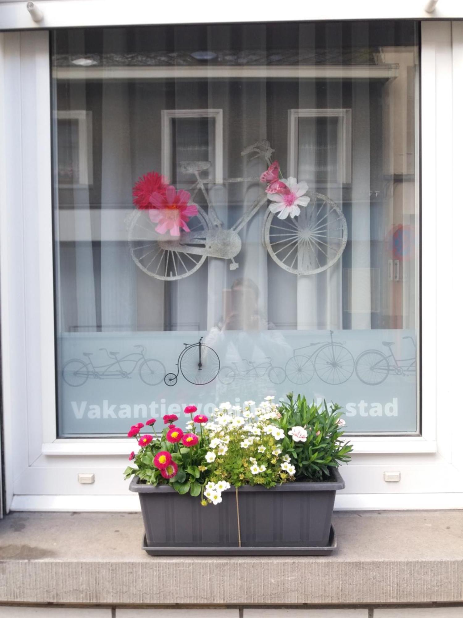 Velocipede Oudenaarde Vakantieverblijf 6 Pers (Adults Only) Zewnętrze zdjęcie